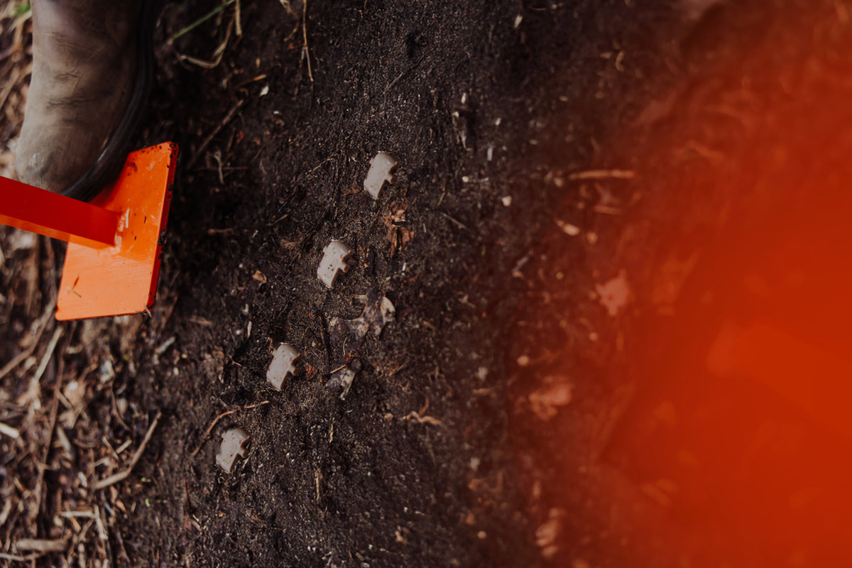 1000 Biodegradable Stakes